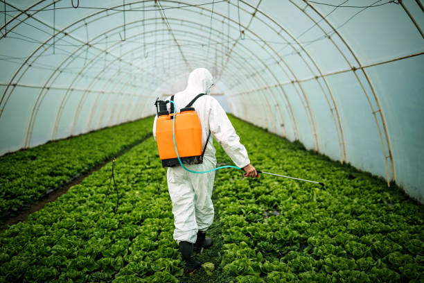Reliable Swartz, LA Pest Control Solutions