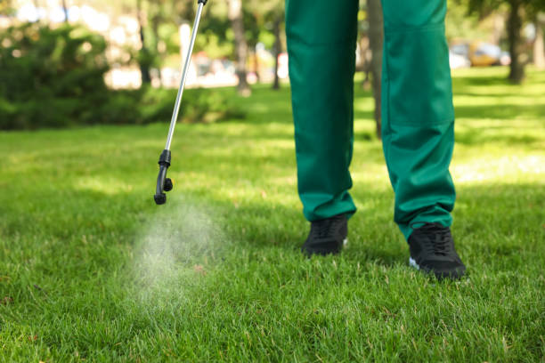 Best Local Pest Control Services  in Swartz, LA
