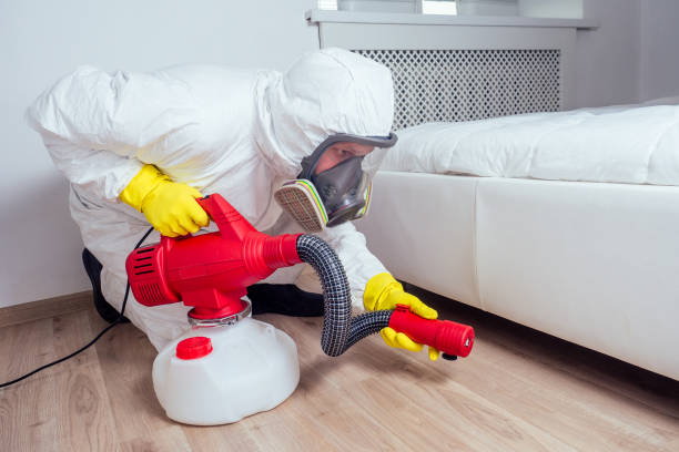Best Affordable Pest Control Services  in Swartz, LA