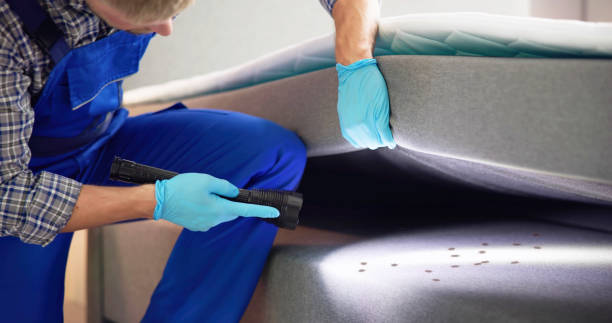 Best Pest Inspection Near Me  in Swartz, LA