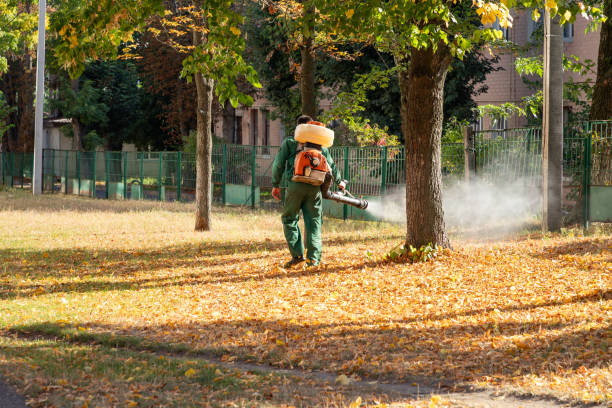 Best Wasp Removal Services  in Swartz, LA