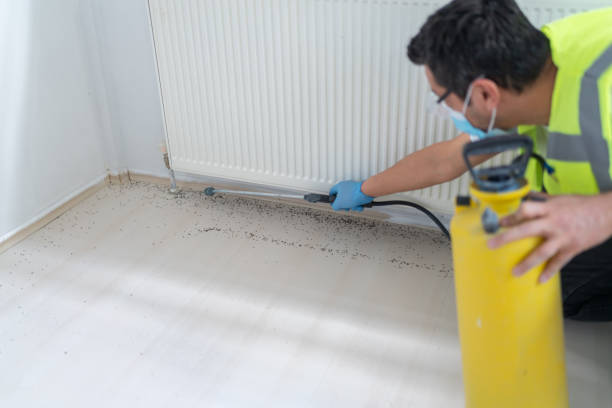 Best Bed Bug Extermination  in Swartz, LA